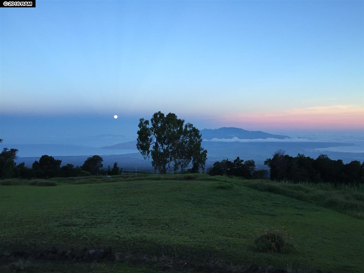 31 Hapapa Rd, Kula, HI 96790 photo 20