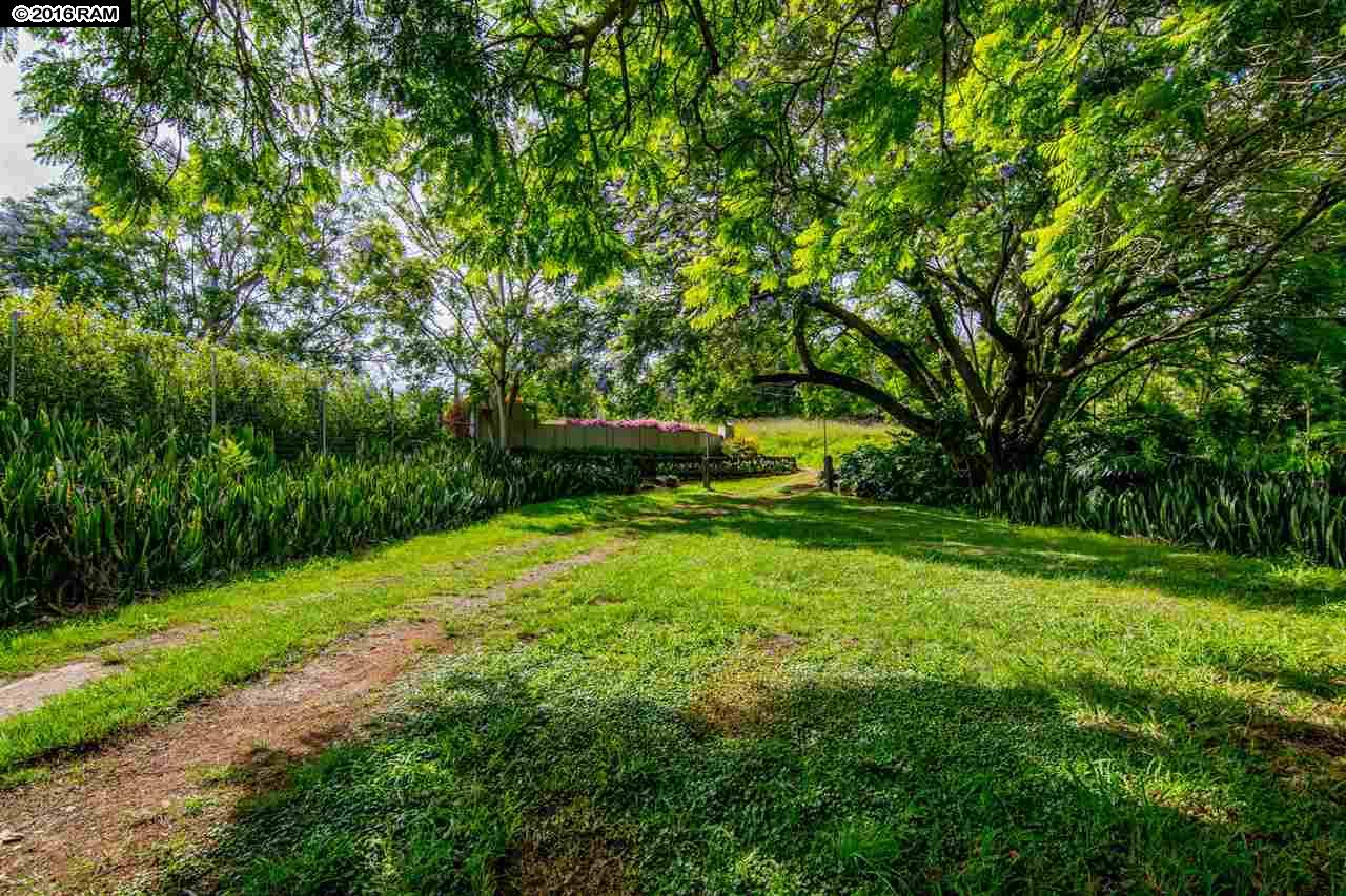 745 Lower Kimo Dr, Kula, HI 96790 photo 17