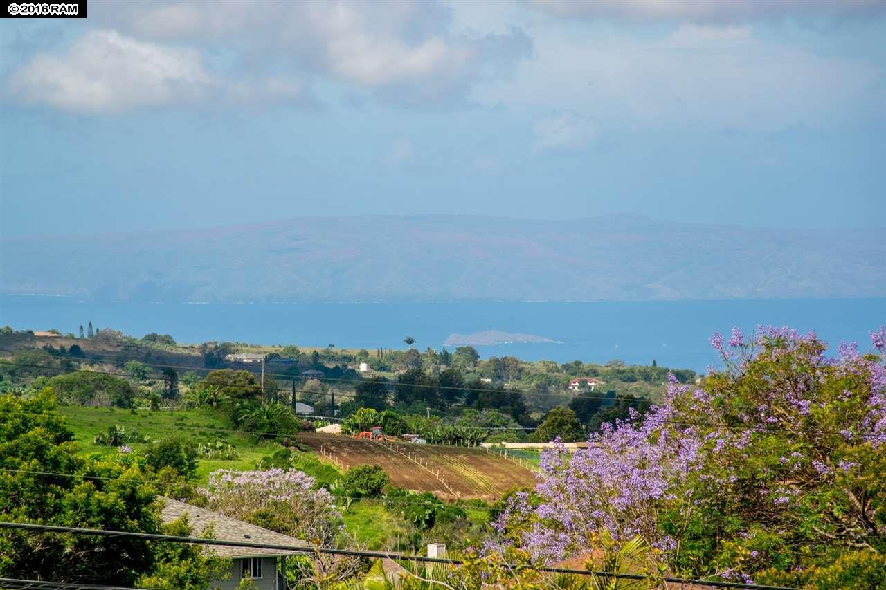 745 Lower Kimo Dr, Kula, HI 96790 photo 13