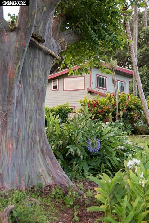 16 Heaaula St # 1, Haiku, HI 96708 photo 1
