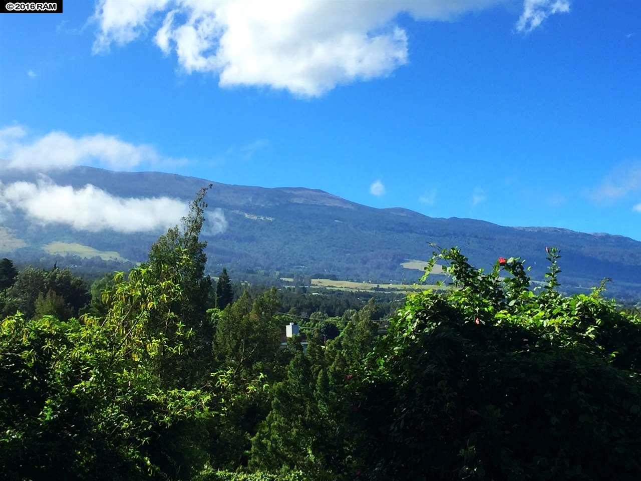 109 Lower Kimo Dr, Kula, HI 96790 photo 29