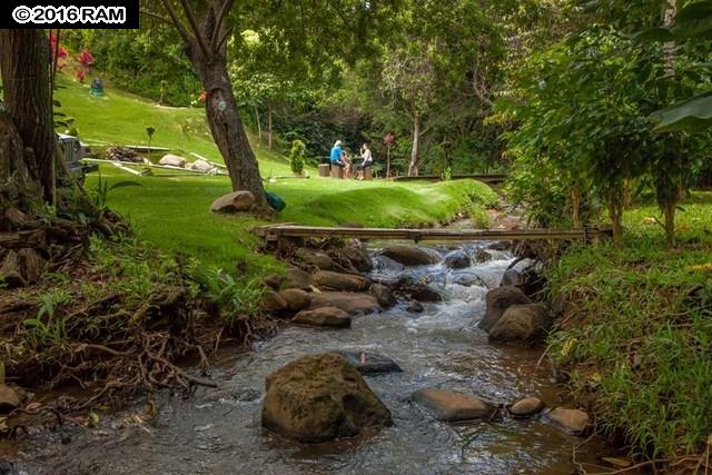 894 E Kuiaha Rd, Haiku, HI 96708 photo 7