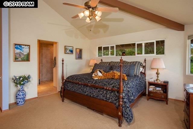 894 E Kuiaha Rd, Haiku, HI 96708 photo 13