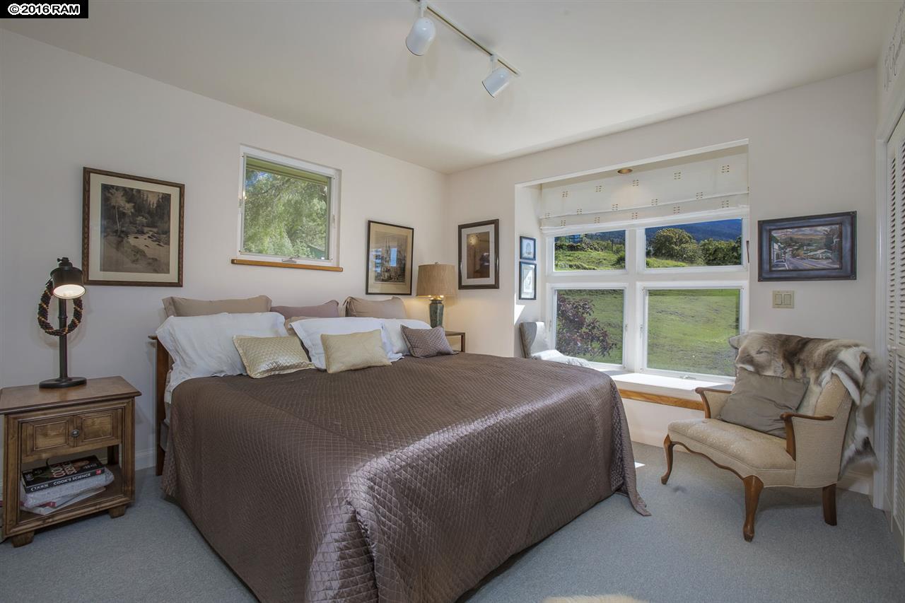 475 Hapapa Rd, Kula, HI 96790 photo 21