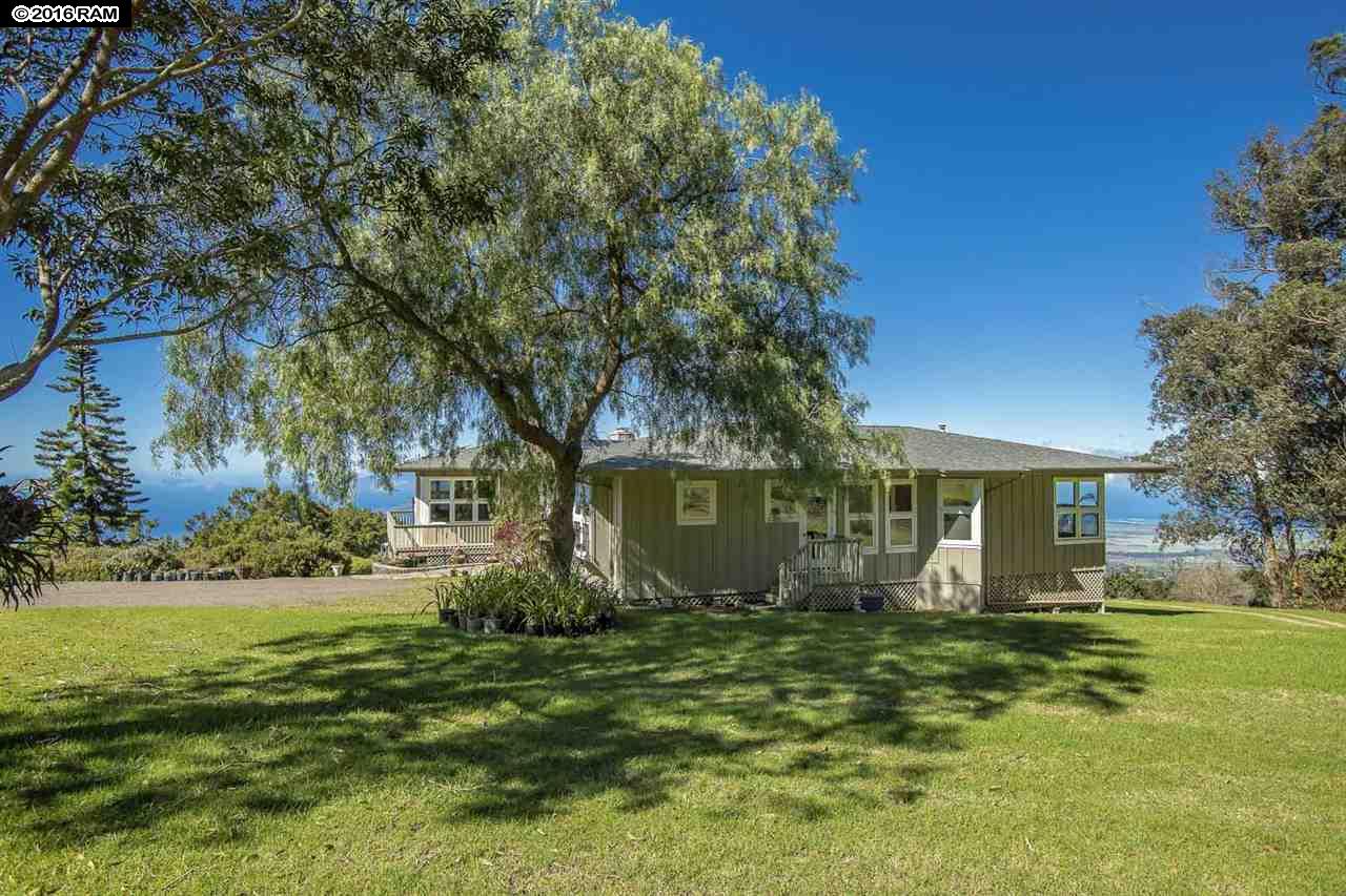 475 Hapapa Rd, Kula, HI 96790 photo 3