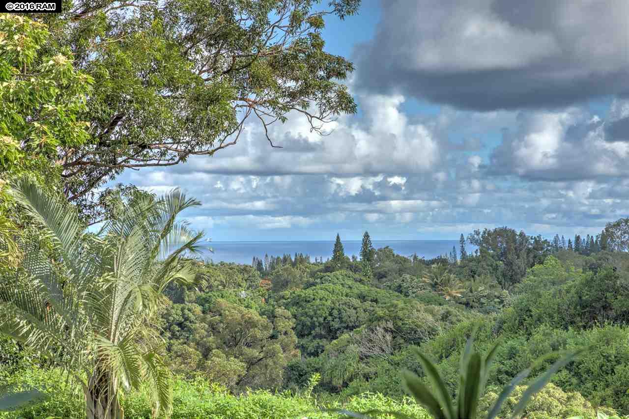 88 Mauu Pl, Haiku, HI 96708 photo 3
