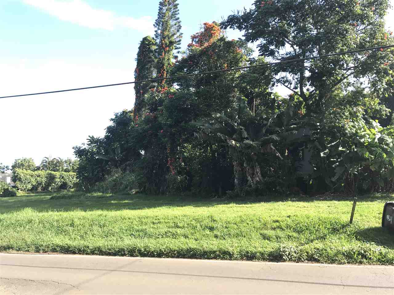 1075 Kokomo Rd, Haiku, HI 96708 photo 13