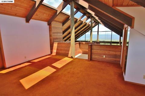 3501 Lower Kula Rd, Kula, HI 96790 photo 8