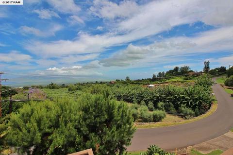 3501 Lower Kula Rd, Kula, HI 96790 photo 23