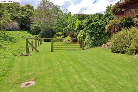 3501 Lower Kula Rd, Kula, HI 96790 photo 22