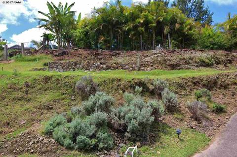 3501 Lower Kula Rd, Kula, HI 96790 photo 20