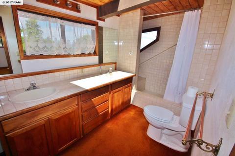 3501 Lower Kula Rd, Kula, HI 96790 photo 7