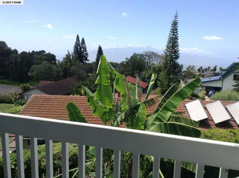320 Ainakula Rd, Kula, HI 96790 photo 9