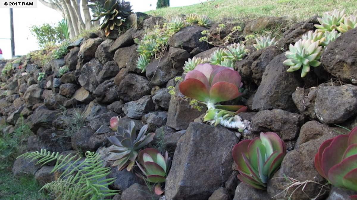 1550 Lower Kimo Dr, Kula, HI 96790 photo 23