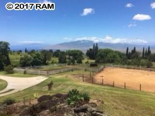 170 Naalae Rd, Kula, HI 96790 photo 22