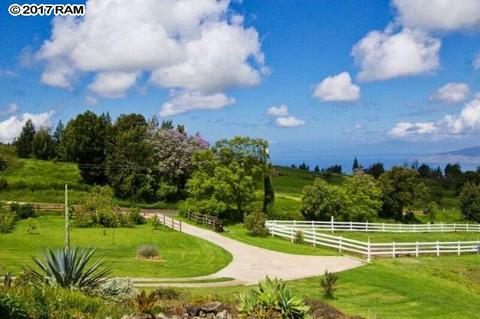 170 Naalae Rd, Kula, HI 96790 photo 3