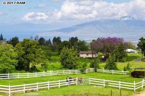 170 Naalae Rd, Kula, HI 96790 photo 1