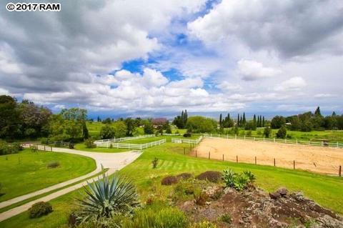 170 Naalae Rd, Kula, HI 96790 photo 17