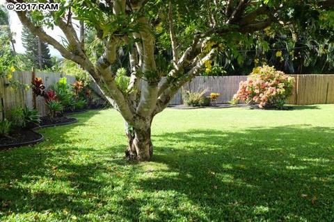 927 N Kokomo Rd, Haiku, HI 96708 photo 3