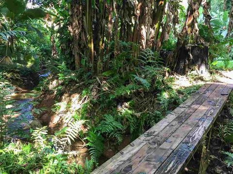 499 Kekoanui Rd, Haiku, HI 96708 photo 15