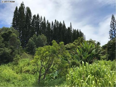 200 Awalau Rd, Haiku, HI 96708 photo 25