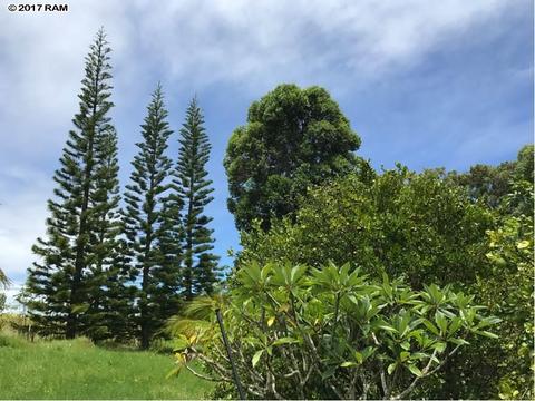 200 Awalau Rd, Haiku, HI 96708 photo 24