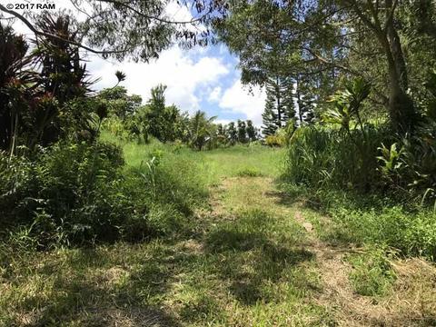 200 Awalau Rd, Haiku, HI 96708 photo 28