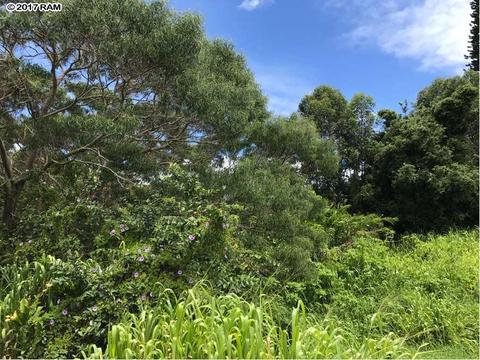 200 Awalau Rd, Haiku, HI 96708 photo 26
