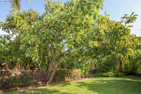 77 Hakui Loop, Lahaina, HI 96761 photo 16