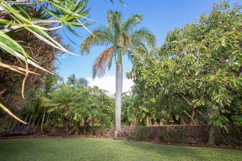 77 Hakui Loop, Lahaina, HI 96761 photo 17