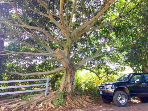 661 Kauhikoa Rd, Haiku, HI 96708 photo 23