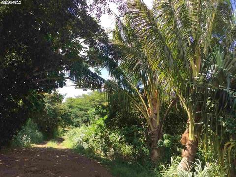 661 Kauhikoa Rd, Haiku, HI 96708 photo 24