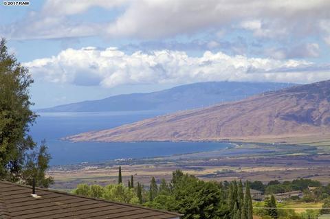 40 Kau St, Kula, HI 96790 photo 3