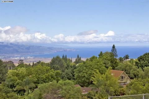 40 Kau St, Kula, HI 96790 photo 4