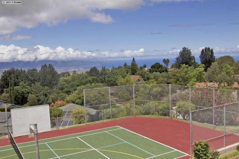 40 Kau St, Kula, HI 96790 photo 22