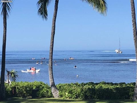 355 Front St, Lahaina, HI 96761 photo 28