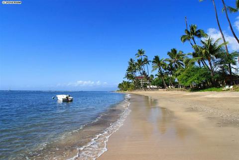 355 Front St, Lahaina, HI 96761 photo 29