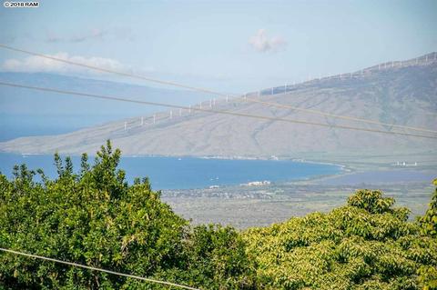 1470 Naalae Rd, Kula, HI 96790 photo 27