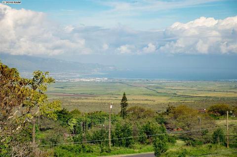 1470 Naalae Rd, Kula, HI 96790 photo 26