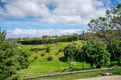 1470 Naalae Rd, Kula, HI 96790 photo 29