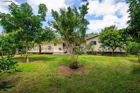 67 Ainakula Rd, Kula, HI 96790 photo 22