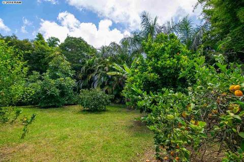 67 Ainakula Rd, Kula, HI 96790 photo 24