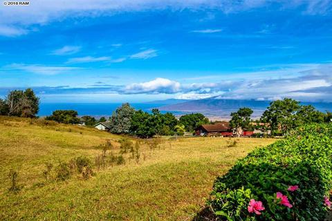 23 Mauka Pl, Kula, HI 96790 photo 18