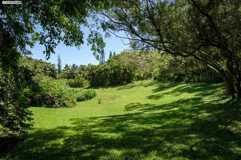 164 Ulumalu Rd, Haiku, HI 96708 photo 5