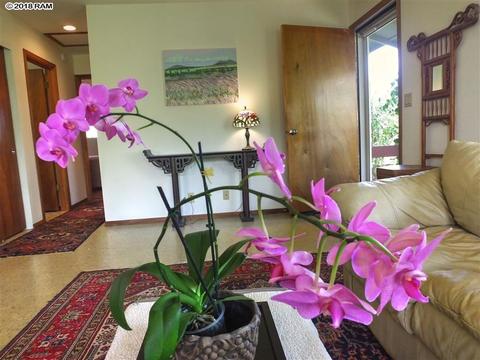 31 Puu Koa Pl, Haiku, HI 96708 photo 12