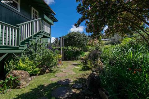 594 Hapapa Rd, Kula, HI 96790 photo 21