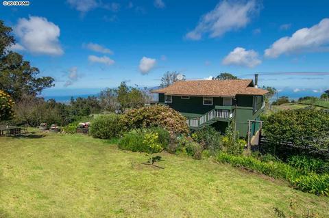 594 Hapapa Rd, Kula, HI 96790 photo 2