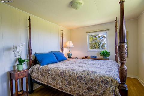 594 Hapapa Rd, Kula, HI 96790 photo 19