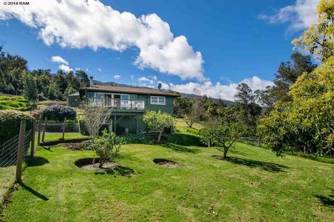 594 Hapapa Rd, Kula, HI 96790 photo 3