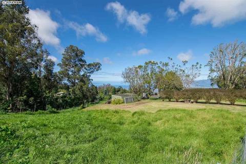 594 Hapapa Rd, Kula, HI 96790 photo 8
